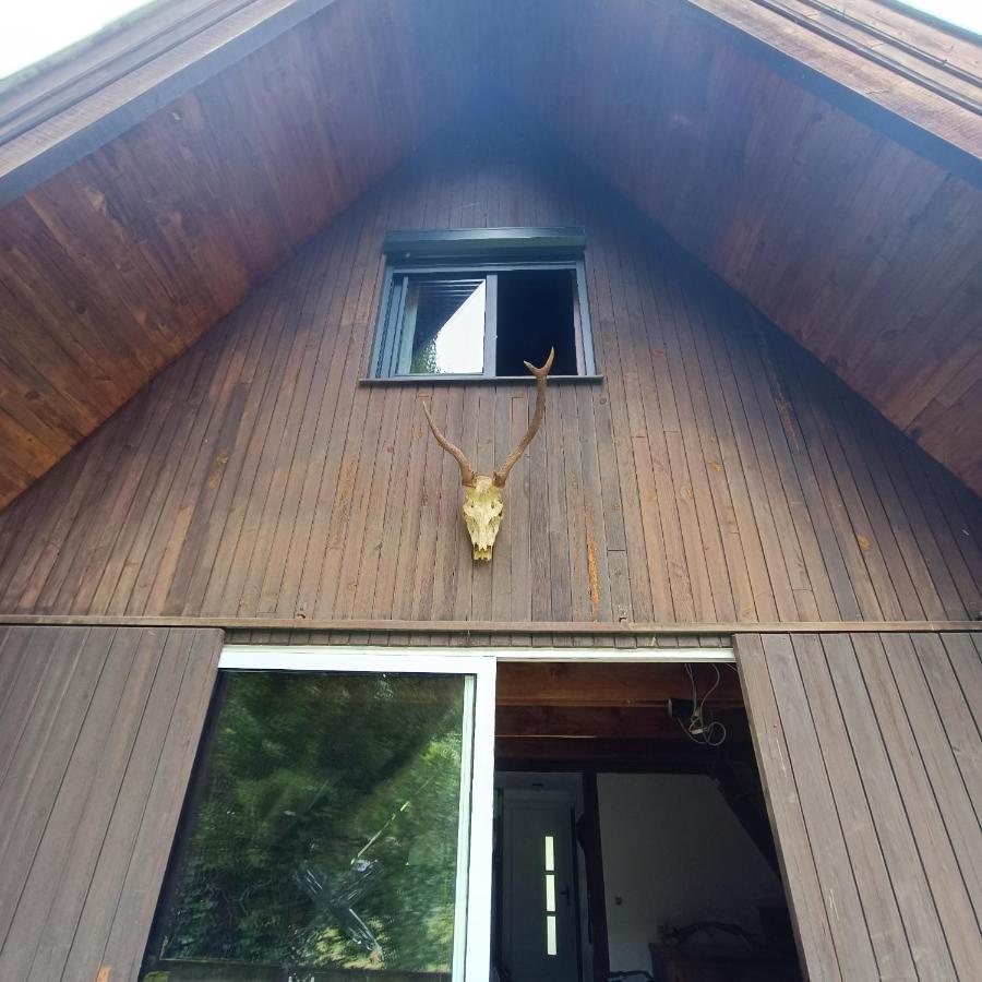 Chalet- Vallee De Luchon - Vallee De La Pique Cierp Esterno foto